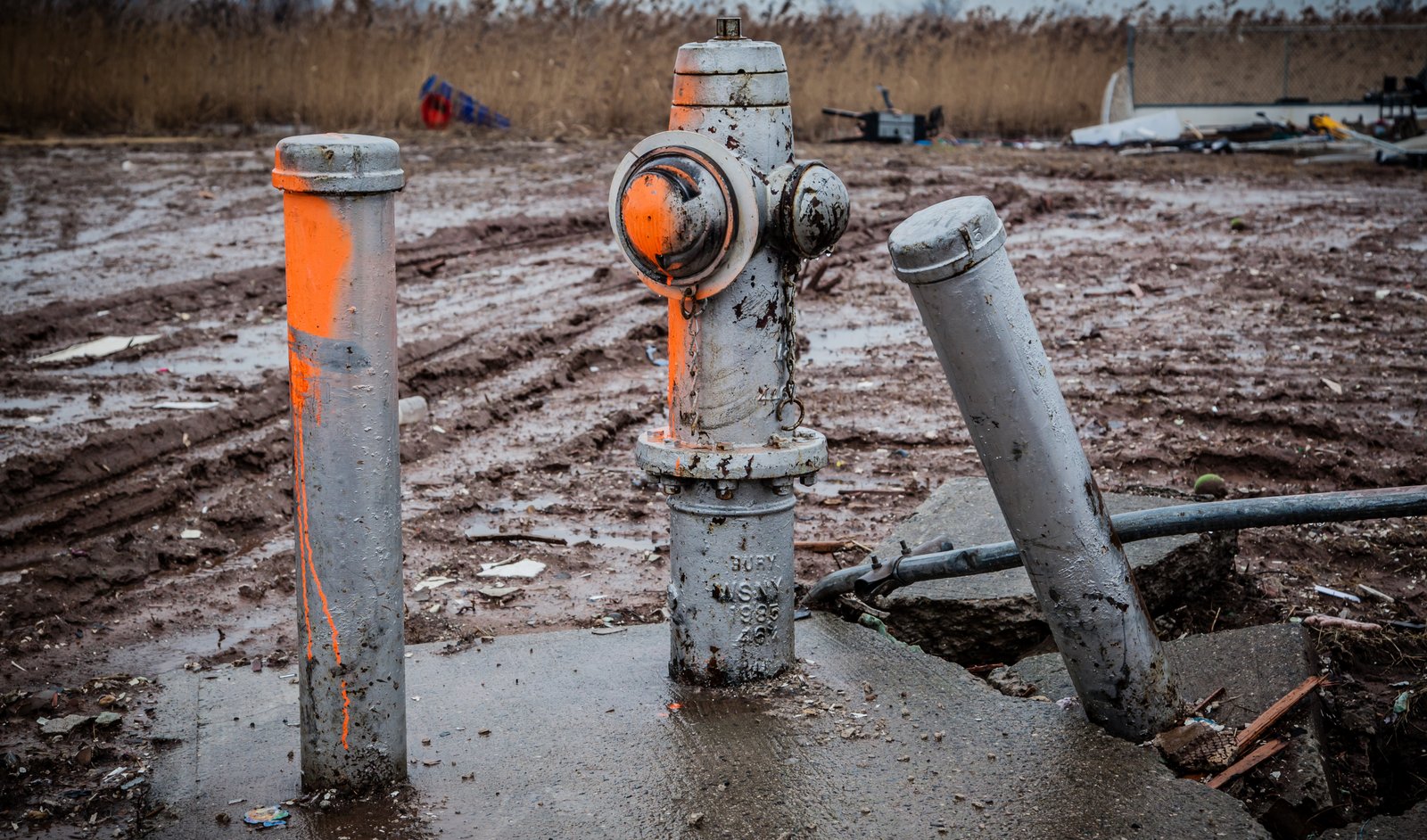 art-of-sandy-mo-staten island 2-57.jpg